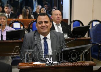 Samaniego: “Existe un divorcio total entre la agenda de la oposición y las preocupaciones de la sociedad formoseña”