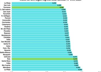 Índice de Gini: Formosa es el aglomerado con menor desigualdad en el ingreso total familiar del NEA
