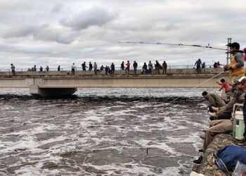 Ante el descenso de las aguas del Bañado, familias retomarán su ubicación