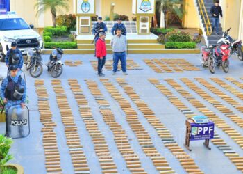 Gonzalez sobre el secuestro de media tonelada de marihuana: “Este procedimiento confirma el compromiso que tiene la Policía con la seguridad de los formoseños”