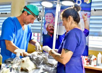 La clínica móvil para mascotas desplegó servicios gratuitos en Pozo Mortero