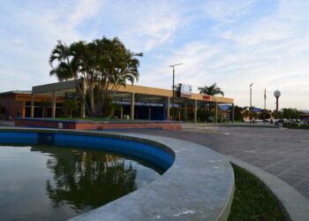 Día del Donante de Órganos y Tejidos: Historias que dejan grandes legados