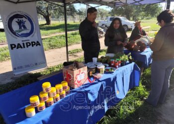 Las Lomitas: Se realizó gran feria de emprendedores y paipperos locales