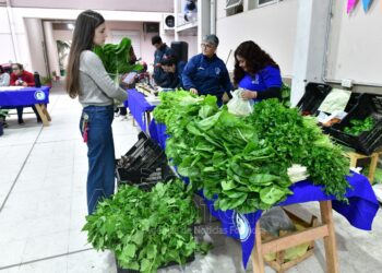 Viernes de ferias paipperas en la Capital