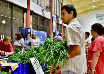 A pesar de las lluvias, se desarrolló exitosamente una nueva edición de las ferias del PAIPPA