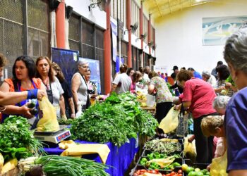 A pesar de las lluvias, se desarrolló exitosamente una nueva edición de las ferias del PAIPPA