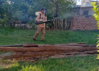 Formosa es ejemplo nacional por casos de dengue en baja gracias a una fuerte decisión política sanitaria