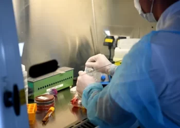 Informaron que Formosa inicia esta semana sin casos COVID-19 positivos ni activos