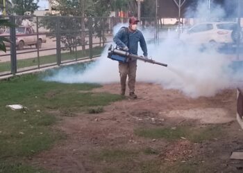 San Martín Dos intensifica el trabajo articulado contra el dengue