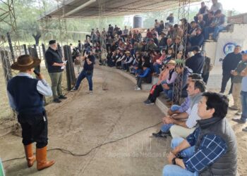 Tras remate ganadero, destacan apoyo del Gobierno provincial a pequeños productores