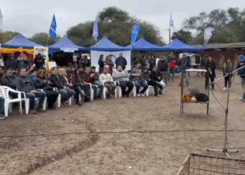 Se vivió una gran fiesta en la 1ª Expo Feria de Ganado Menor y Hortícola en Las Lomitas