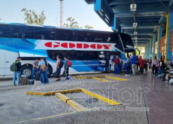 Elecciones 2025: La Dirección de Transporte informó los servicios especiales para este domingo