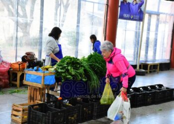 Otra exitosa edición de las ferias del PAIPPA a pesar del diluvio