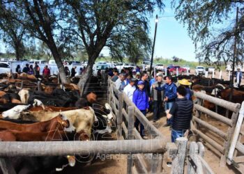 “Una fiesta del Modelo Formoseño”: Se realizó en Fortín Soledad la tercera Feria Ganadera Paippera