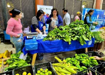 Las ferias paipperas se desarrollarán este viernes en la ciudad capital