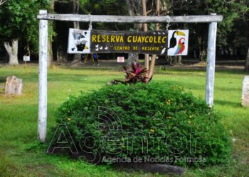 Guaycolec abre sábados, domingos y feriados en vacaciones de invierno
