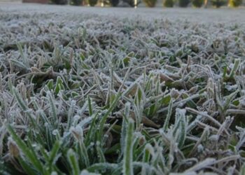 La provincia de Formosa, bajo alerta por frío extremo