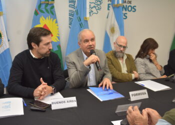 Formosa defendió el sistema de residencias en una reunión federal de salud