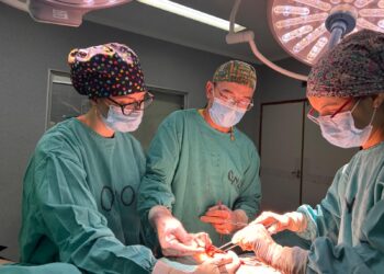 HAC: Cirugía general vanguardista con atención integral para los pacientes
