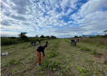 Educación Técnica lleva adelante importantes acciones de articulación educativa en Colonia El Progreso