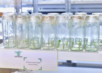 De Pedro destacó las posibilidades que ofrece en lo productivo “la distribución territorial de los CEDEVA”