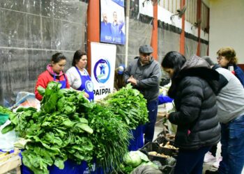 Ferias del PAIPPA: Producción local al alcance de todos