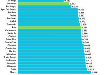 Índice de Gini: Formosa es la región del NEA con menor desigualdad en el ingreso total familiar