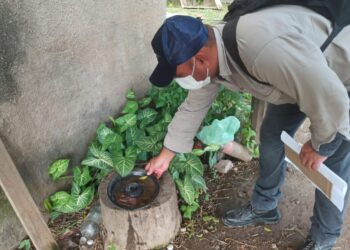 Dengue: Advierten altos niveles de criaderos y el riesgo de brotes tras las lluvias