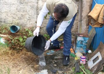 Dengue: Solicitan compromiso comunitario para cortar el ciclo del Aedes aegypti