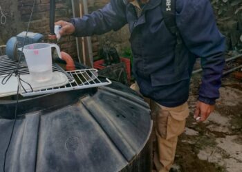 Dengue: Solicitan compromiso comunitario para cortar el ciclo del Aedes aegypti