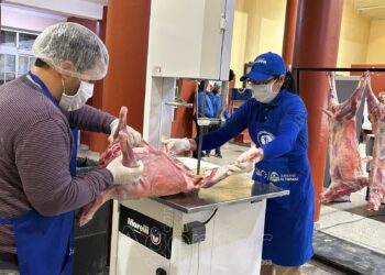 Salieron a la venta chivitos paipperos formoseños