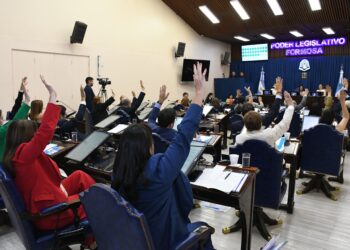 Igualdad de género, protección digital y límites a la reelección, las últimas reformas de la Convención de Formosa