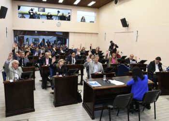 La Convención Constituyente de Formosa aprobó límites y responsabilidades en casos de intervención federal