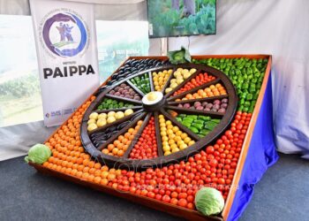 Celebran el nuevo aniversario del PAIPPA, “columna vertebral del Modelo Formoseño”