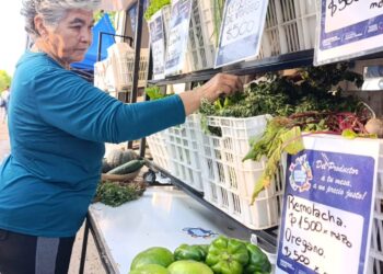 Soberanía Alimentaria Formoseña llevará este viernes la venta itinerante en el barrio La Nueva Formosa
