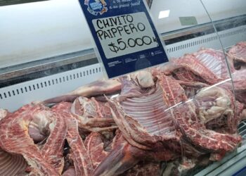 Este martes habrá venta de carne de chivito formoseño paippero en Soberanía Alimentaria Formoseña