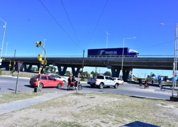 Formosa lideró en agosto a nivel país el crecimiento en transferencias de autos