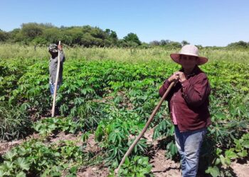 Insfrán saludó a los agricultores en su día