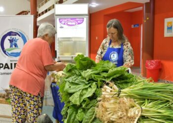 Feria extraordinaria paippera en la previa del fin de semana largo