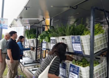 Soberanía Alimentaria Formoseña llega esta semana con promociones y la reincorporación de la carne de búfalo