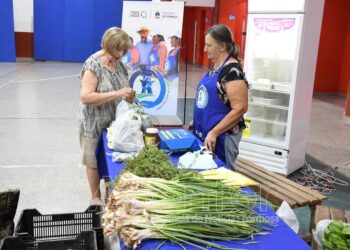 Nueva edición de ferias paipperas de verano
