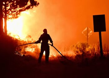 Incendios en la Patagonia: “Este desastre ambiental y social es producto de la indiferencia del Gobierno nacional”