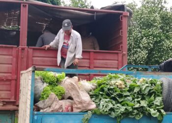 Destacan la inversión del Gobierno provincial y el abastecimiento de los consorcios paipperos al Plan Nutrir