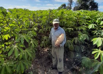 Laguna Blanca: Este jueves se lanza la campaña de “siembra de segunda” para familias paipperas