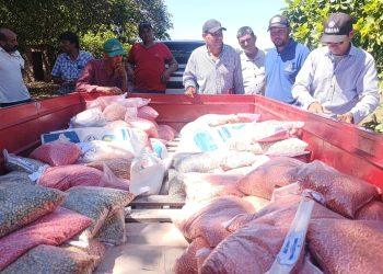 Entrega de semillas: Productores resaltaron esta asistencia y el acompañamiento que les brinda el Gobierno provincial