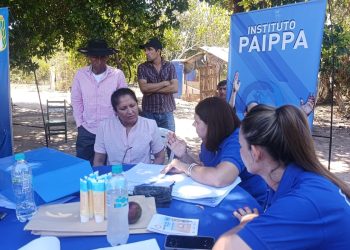 Laishí: Se lanzó la siembra de segunda