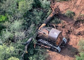 Condenan al senador Paoltroni por desmonte ilegal en Formosa y deberá pagar más de $101 millones