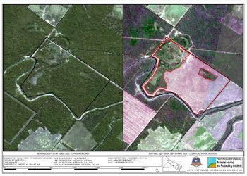 Paoltroni acumula multas por desmontes ilegales desde 2017 y se complica su situación judicial