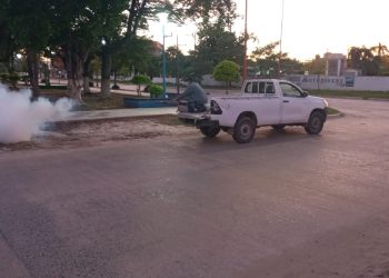 En Clorinda refuerzan la prevención contra el dengue ante la invasión de mosquitos causada por las lluvias y la crecida del río