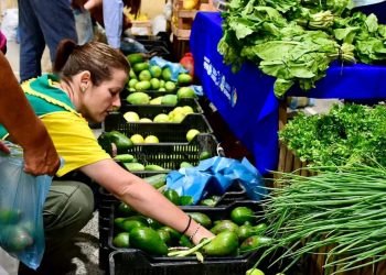 Habrá ferias paipperas extraordinarias por Semana Santa